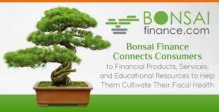 But there are a number of things you must pay attention to if you want to make sure these bonsai tree species will produce the desired flowers. 25 Best Looking For Bonsai Finance Review Pink Wool
