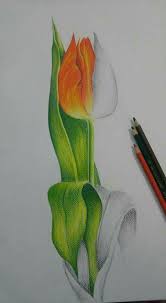 40 Speaking Colored Pencil Drawings Colorful Drawings Pencil Colour Painting Color Pencil Art