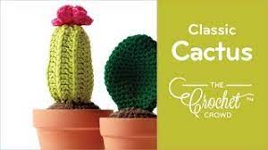 Follow our guide to caring for cacti in pots and repotting is best carried out in the spring, when cacti are enjoying active growth. Crochet Classic Cactus Flower Pot Pattern The Crochet Crowd