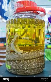 Image result for snake wine