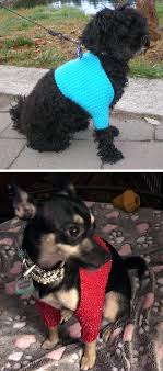 This dog sweater pattern comes in three sizes that will fit tiny dogs to medium size dogs! Pet Coat Knitting Patterns In The Loop Knitting