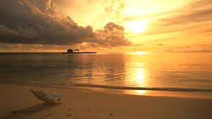 Kuvahaun tulos haulle sunny beach