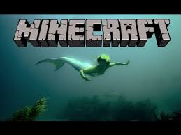 Just with one click you will have access to more than lot of mermaid skins! Marine And Mermaids For Minecraft Pe Apk