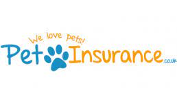 Pet insurance can ensure that you can afford the care your pet needs. Top 10 Cat Insurance Best Pet Insurance For Cats Money Co Uk