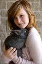 Rabbit Classifieds | Rabbits Wanted And For Sale