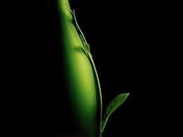 You Brought Beauty To My Life The Instant I Met You Gabriel Tightened His Grip Around Her I Still Can T Believ Peter Gabriel Wedding Songs Beautiful Songs