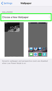 Launch the giphy app from your home screen. How To Create Dynamic Wallpapers On Iphone The Iphone Faq