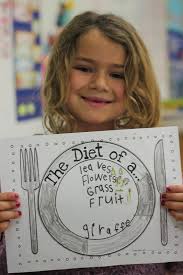 Kindergarten Smiles: Animal Research Project