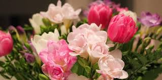 Ed è bene scegliere un bouquet di fiori in base alla persona che lo riceverà. Fiori Per Compleanno Quali Scegliere Per Non Sbagliare
