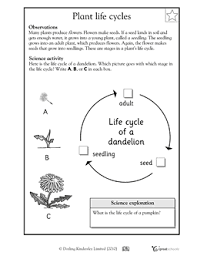 Our 3 Favorite Science Worksheets For Each Grade Greatkids Plant Life Cycle Worksheet Plant Life Cycle Science Worksheets