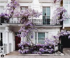 Maisons Londoniennes Facades Colorees Notthing Hill Facade Jolie Maison Londonien