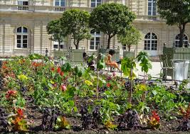 Other sculptures depict such noteworthy figures as charles baudelaire, beethoven, paul verlaine, georges sand and watteau. Photos Of Different Flowers Inside Jardin Du Luxembourg Page 16