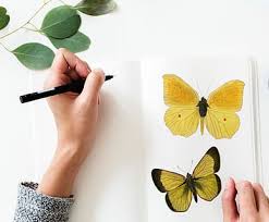 17 ide kerajinan tangan membuat hewan dari daun. Halaman 29 Gratis Sketsa Foto Piqsels