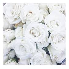 Combine white flowers with fall hues like oranges and reds to embrace the season's colors. Good Vibes Only Justit Julysimao Saturday Inspiration White Aesthetic White Flowers White Roses