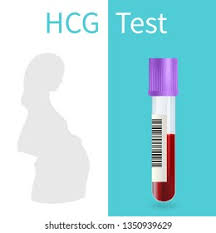 Check spelling or type a new query. Blood Pregnancy Test Hcg Vector Medical Stock Vector Royalty Free 1350939629