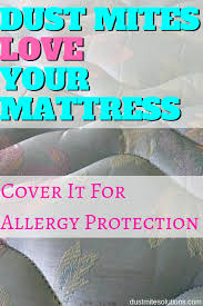 Best Mattress Cover For Allergies Dust Mite Allergy Dust Mites Dust Mites Mattress