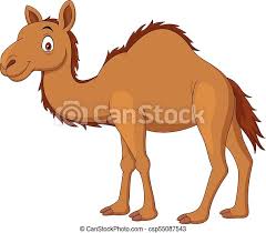 Free coloring pages for kids. Cartoon Camel Isolated On White Background Canstock
