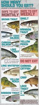 How Many Fish Should You Eat Fishing Tips Trout Trout Fishing