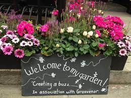 Bee friendly flowers for hanging baskets. Creating A Buzz In Belgravia Neill Strain Floral Couture London