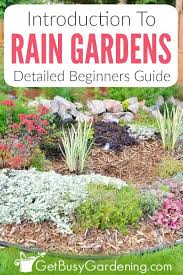Rain Gardens A Detailed Guide For Beginners In 2020 Rain Garden Design Rain Garden Garden Care