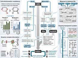 Ratlantis is a dimension that can only be accessed through the creation of a ratlantis portal. An Atlas Of Human Metabolism Science Signaling