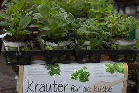 Apotheke zoologischer garten ein schöner garten ist ein fertigungsanlage des herzens es ist eine apotheke zoologischer garten. Die Apotheke Im Eigenen Garten Gegen Viele Wehwehchen Ist Ein Kraut Gewachsen Nr Kurier De