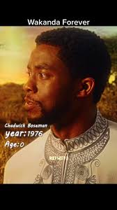 Wakanda Forever Bucket and Cup