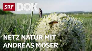 Natura 2000 ist ein zusammenhängendes netz von schutzgebieten innerhalb der eu, das seit 1992 nach den maßgaben. Landwirtschaft Ohne Pestizide Netz Natur Mit Andreas Moser Doku Srf Dok Youtube