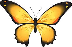 When autocomplete results are available use up and down arrows to review and enter to select. Yellow Butterfly Clipart Free Download Transparent Png Creazilla