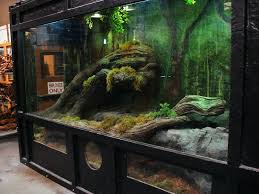 Pin On Vivarium Terrarium