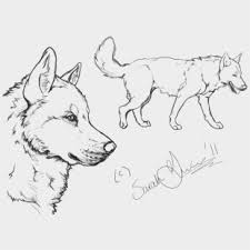 On this page you can view some examples. Siberian Husky Clipart Drawing White Fang Coloring Pages Cliparts Cartoons Jing Fm