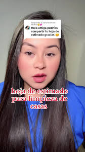 Hoja de Estimado para Limpieza de Casas