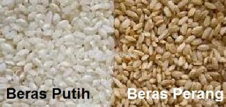 Ada yang mengatakan kalori untuk sehidangan nasi perang lebih rendah berbanding sehidangan nasi putih. Anim Agro Technology Beras Perang Apa Hebatnya
