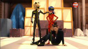 Miraculous Ladybug Stem Stat And Info How Tall Is Chat Noir As A Science And