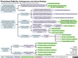 Image result for Precocious Puberty