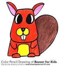 In this step by step drawing lessons video for kids you will know #howtodraw cute beaver. Learn How To Draw A Beaver For Kids Animals For Kids Step By Step Drawing Tutorials