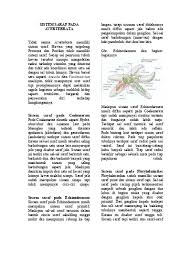 Jul 20, 2021 · contohnya sapi, kerbau, kambing, jerapah, rusa, kancil dan antelop. Sistem Saraf Pada Avertebrata