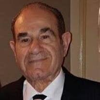 Michele LoGiudice Obituary