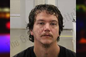 Cole Williams — Heard County Jail Bookings