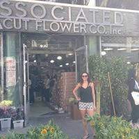 The christmas season is associated with many different flowers that can be used in holiday decor. Associated Cut Flower Chelsea 131 W 28th St