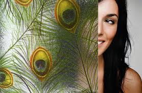 In february 1628, at the age of fourteen, his father sent him to study painting in the studio of rembrandt (then aged about 21) who lived nearby. Sx Sc668 Peacock Feathers Decorative Film Stained Glass Window Film Peacock Feathers