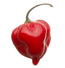 Top 10 World S Hottest Peppers 2020 Update New Hottest Pepper Stuffed Hot Peppers Stuffed Peppers Worlds Hottest Pepper