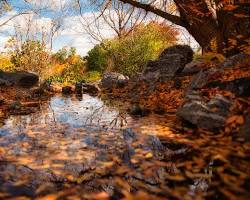 Image of Australian Inland Botanic Gardens Mildura