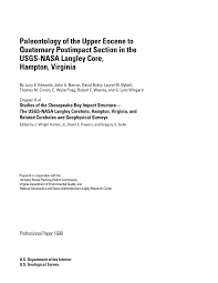 Pdf Paleontology Of The Upper Eocene To Quaternary