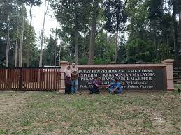 Pm sertai aktiviti pemuliharaan tasik chini. Lake Chini Tasik Chini Pahang Malaysia Researchers Pusat Penyelidikan Tasik Chini Ukm Entrance Gate To Tasik Chini