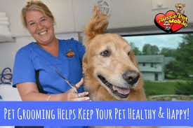 Mobile grooming for cats & dogs. Pet Grooming Helps Keep Your Pet Healthy Happy Aussie Pet Mobile