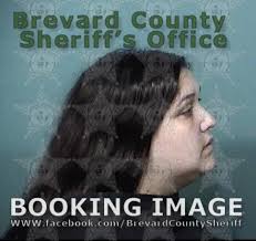 Arrests In Brevard County: February 11, 2024