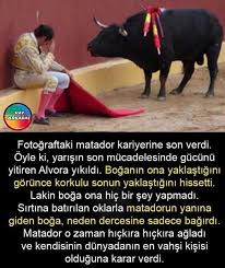 Hayvanlar Boyle Iskenceleri Hak Etmiyor Matadorda Bunu Anladi Ilham Verici Alintilar Bilgi Gercekler