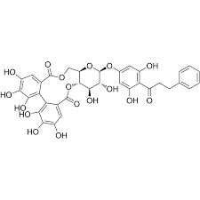 Image result for Thonningia