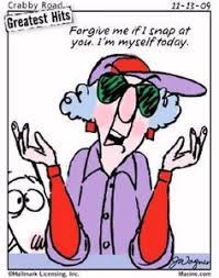 Please feel free to add any maxine cartoons you find. 30 Best Maxine Cartoons Images Hilarious Quotes Hilarious Sayings Humorous Quotes